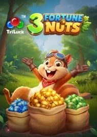 3 Fortune Nuts